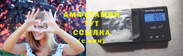 ПСИЛОЦИБИНОВЫЕ ГРИБЫ Дмитриев