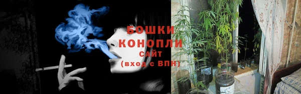 герыч Дмитров