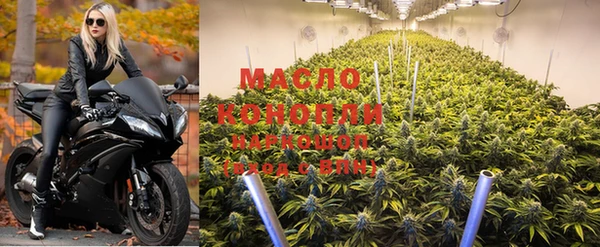 тгк Горнозаводск