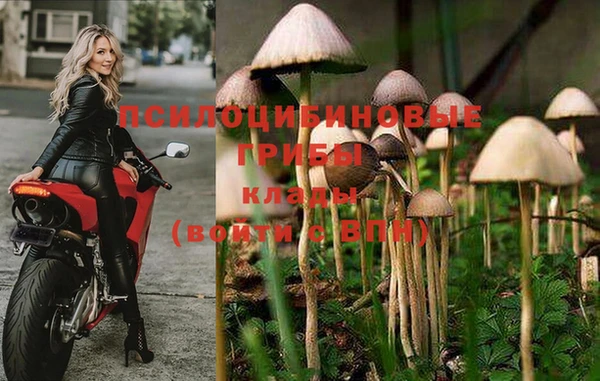 тгк Горнозаводск