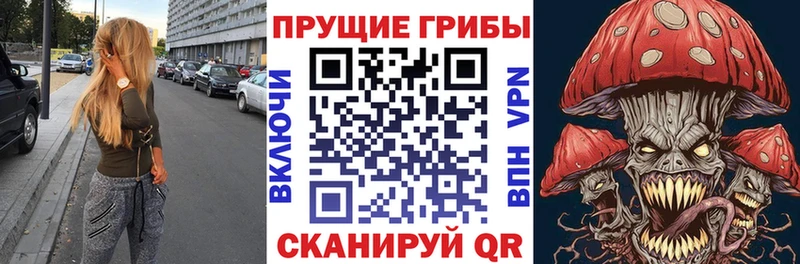 Галлюциногенные грибы Cubensis  Волосово 